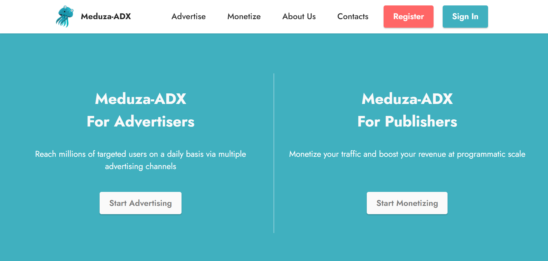 Meduza-ADX Ad Network Review